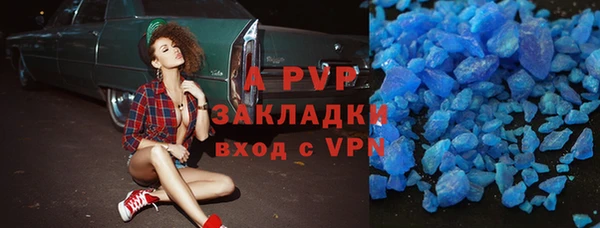 шишки Белоозёрский