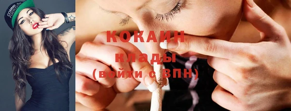 шишки Белоозёрский