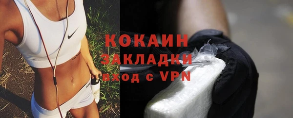 шишки Белоозёрский