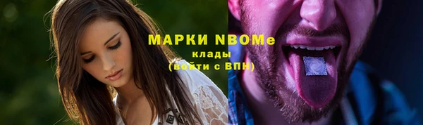 шишки Белоозёрский