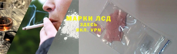 шишки Белоозёрский