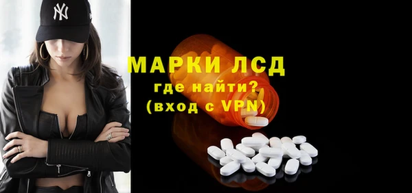 шишки Белоозёрский