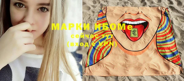 шишки Белоозёрский