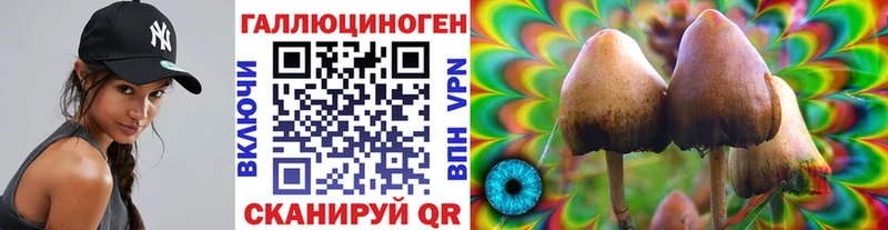 Купить где  Оренбург  Галлюциногенные грибы Cubensis 