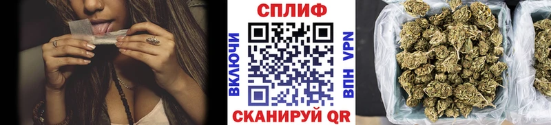 Купить закладки  Оренбург  Бошки Шишки конопля 